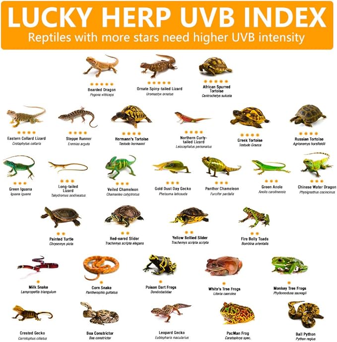 LUCKY HERP 24inch 18W T8 UVB 10.0 Reptile Light, UVA UVB Bulb, Fluorescent Lamp for Reptiles Amphibian
