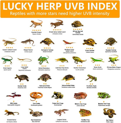 LUCKY HERP 24inch 18W T8 UVB 10.0 Reptile Light, UVA UVB Bulb, Fluorescent Lamp for Reptiles Amphibian