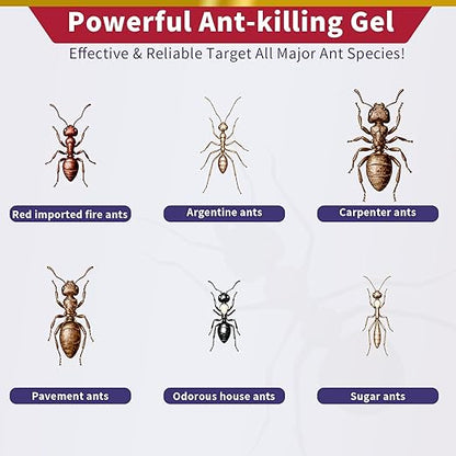Ready-to-Use Ant Gel Bait, Ant Control for Indoors and Outdoors Use - 1 x 30-Gram Tube