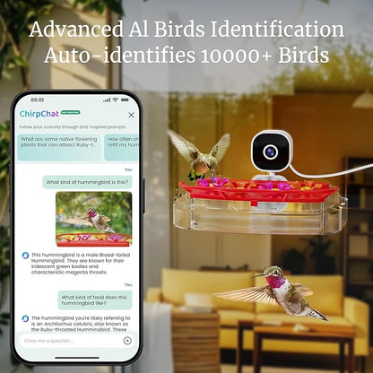 Smart Window Humming Bird Feeder Camera, AI Identifies Species in 2K HD, with Ant Moat & Secure Suction Mount - The Ultimate Gift for Hummingbird Lovers (Transparent)