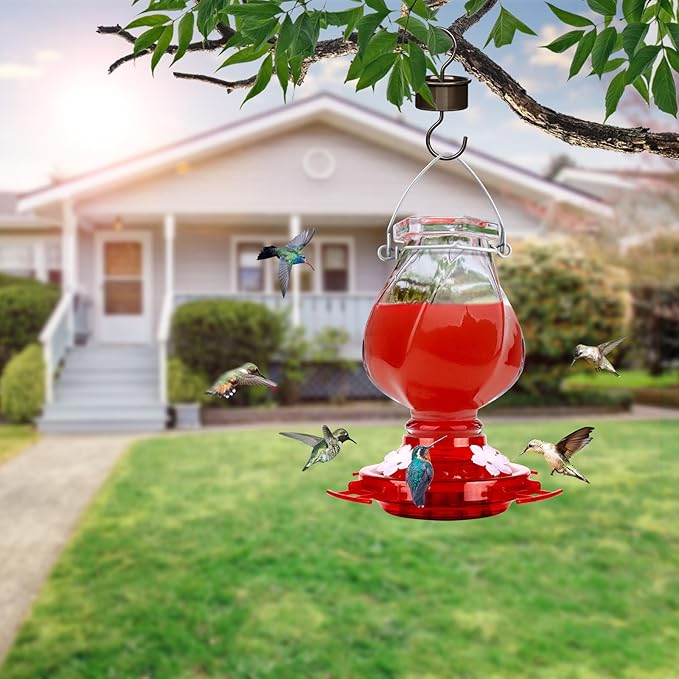 Hummingbird Feeder, BOLITE Glass Hummingbird Feeders for Outdoors Hanging, with Ant Moat and 4 Bee Guard Feeding Ports, 22oz, Leak Proof, Clear & Red