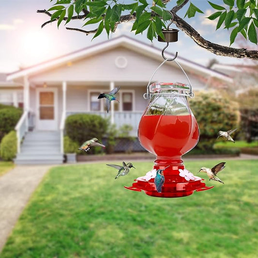 Hummingbird Feeder, BOLITE Glass Hummingbird Feeders for Outdoors Hanging, with Ant Moat and 4 Bee Guard Feeding Ports, 22oz, Leak Proof, Clear & Red