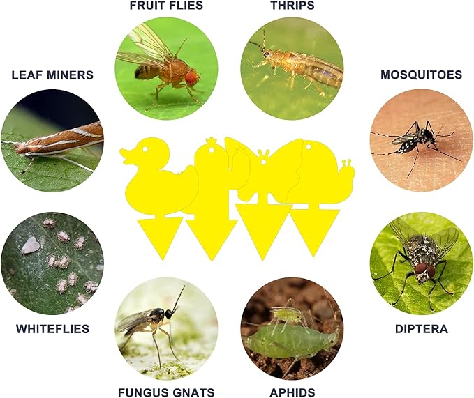 Gideal 48-Pack Dual-Sided Yellow Sticky Traps for Indoor/Outdoor Use, Gnat Trap for Flying Plant Insect Such as Fungus Gnats, Whiteflies, Aphids, Fruit Fly, Leafminers, etc - Cute Shapes