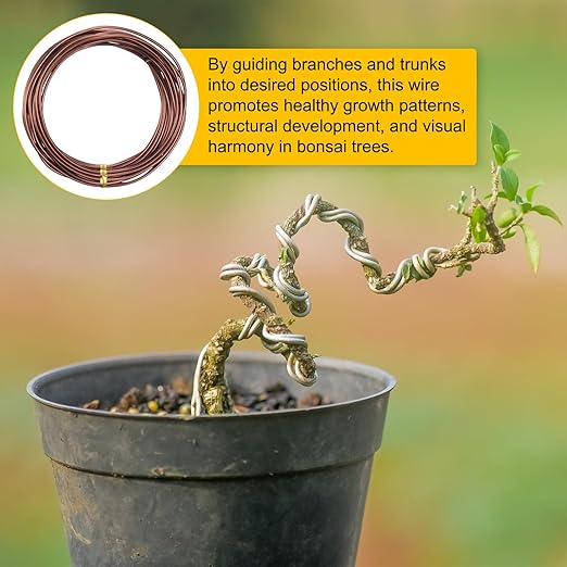 2mm Bonsai Training Wire, 16.4 Feet Total Anodized Aluminum Bonsai Wires for Bonsai Tree Shaping/Branches Fixing/Trunk Holding/DIY Crafting [Bronze]
