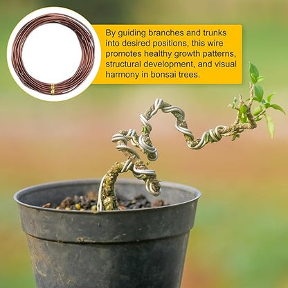 2mm Bonsai Training Wire, 16.4 Feet Total Anodized Aluminum Bonsai Wires for Bonsai Tree Shaping/Branches Fixing/Trunk Holding/DIY Crafting [Bronze]