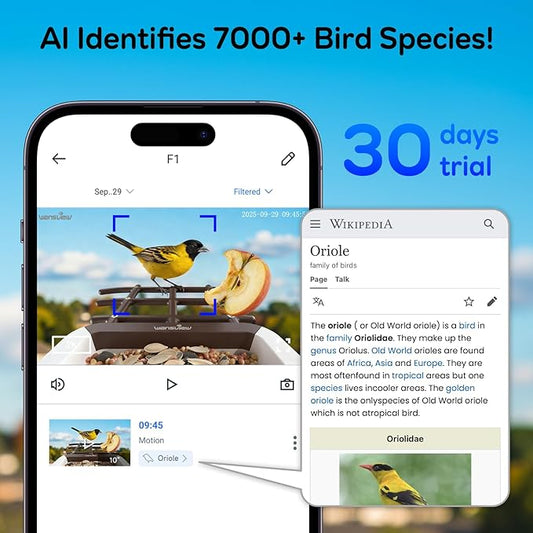 wansview Bird Feeder with Camera-Smart Bird Feeders for Outdoors Solar Powered, Birdhouse with Cam & Instant Alert, 2K Live Video, AI Identify Species, Ideal Gift for Tech Lovers, F1, Brown, 2.4G WiFi