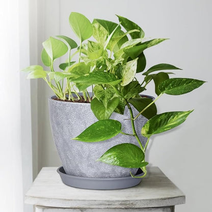 Set of 8 Plastic Planter, 10/9/8/7.5/6.5/5.7/5/4inch Plastic Planter, Flower Pot Indoor Decorative Large Plant Pot, Plant Pots Indoor with Drainage and Saucer for All House Plants (Set of 8)
