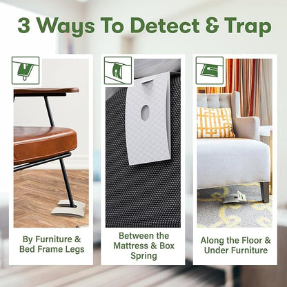 BugMD Bed Bug Trap (1 Pack, 12 Traps) - Interceptors, Bed Bug Prevention, Sticky Glue Traps, Insect Trap Indoor