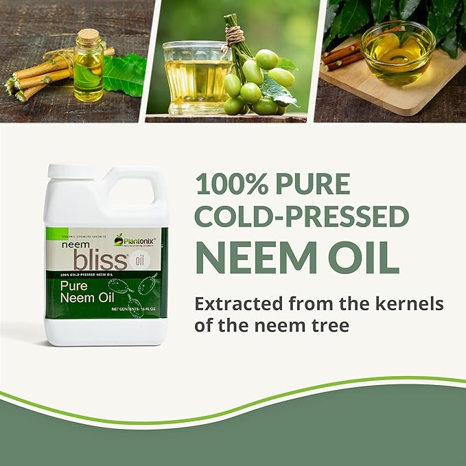 Neem Bliss (64 Fl Oz) - Pure Neem Oil Concentrate - 100% Cold Pressed Neem Oil - All-Natural Neem Oil Concentrate - Pure Neem Oil Extract - Unrefined Neem Oil for Hair - Neem Seed Oil Concentrate