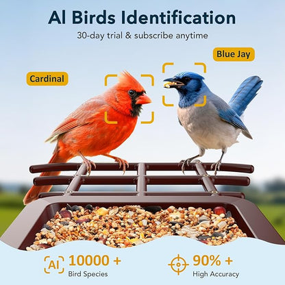 PeckCam® Bird Feeder with Camera Solar Powered, AI Identify & Auto Capture, 2K HD Live Video Smart Bird Feeder Camera Instant Notifications in Backyard, Gift for Bird Lovers