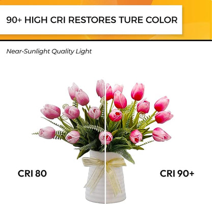 Hizashi E12 Candelabra Bulb 60 watt 2700K Soft Warm White, Dimmable E12 LED Bulb, 90+ CRI 6W 550LM, CA11 Flame Tip LED Chandelier Light Bulbs Candelabra Base, UL Listed - 6 Pack