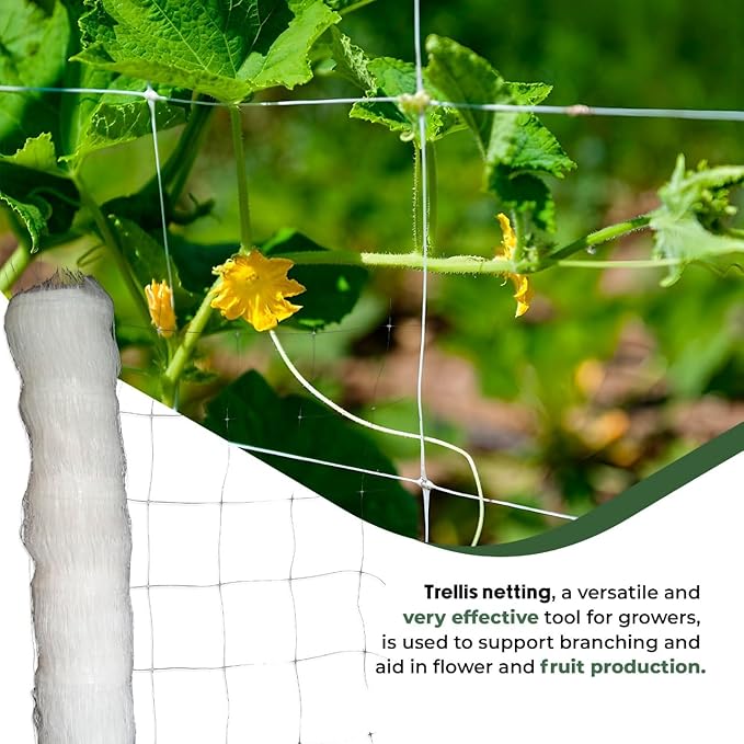 10-Feet by 4920-Feet Professional Grade Vegetable Support Trellis Netting Roll/Scrog Net Roll, (119" x 4920' / 3m x 1500m) (mesh 5.9"x6.7" / 15cm x 17cm)