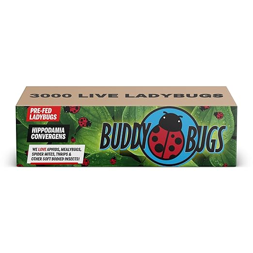 3,000 Live Ladybugs – Natural Aphid Control | Pre-Fed Hippodamia Convergens | Guaranteed Live Arrival