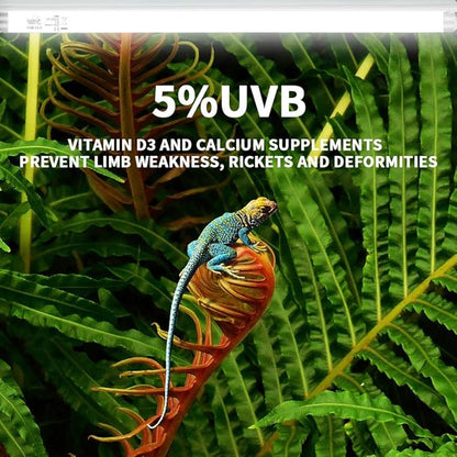 LUCKY HERP 24inch 18W T8 UVB 5.0 Reptile Light, UVA UVB Bulb, Fluorescent Lamp for Reptiles Amphibian