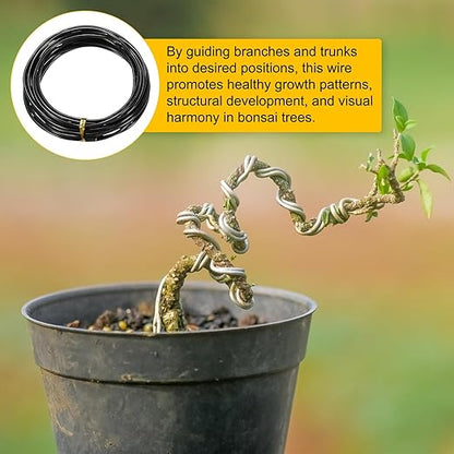 2-Rolls 2.5mm Bonsai Training Wire, 32.8 Feet Total Anodized Aluminum Bonsai Wires for Bonsai Tree Shaping/Branches Fixing/Trunk Holding/DIY Crafting [16.4ft Each, Black]