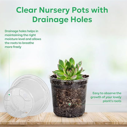 60 Packs 3.5 Inch Reinforced Clear Nursery Pots with Drainage Hole, Transparent Variety Pack Plastic Plant Pot Seedling Planter Seed Starter Flower