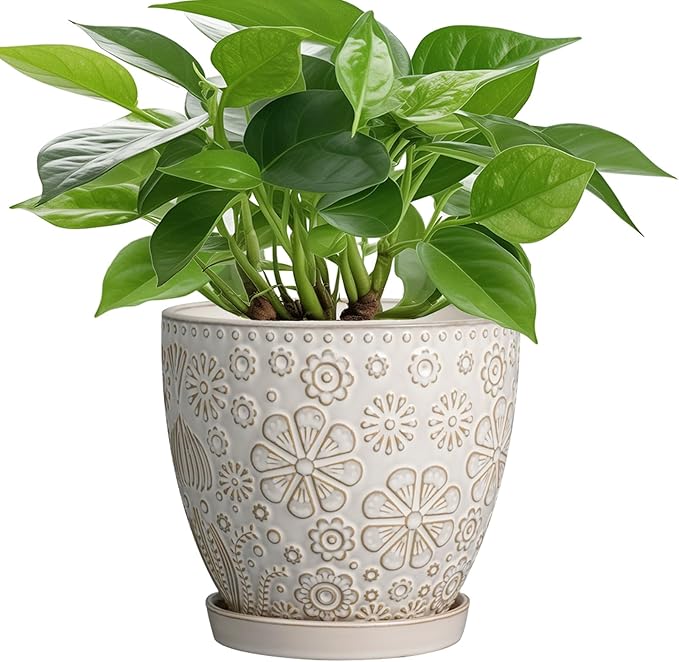 6.9 Inch Plant Pot with Drainage Hole and Saucer Ceramic Planter for Indoor Plant Flower Pot for Orchid Succulents Plants White