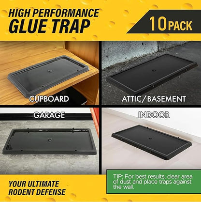 Glue Traps for Mice,Rat,Mouse,Snake,Lizard,Insect. 10 Pack. Extra Strength,Pre-Baited Adhesive.Heavy Duty Plastic Tray.Non-Toxic,Chemical-Free Pest Control for Home. 10Pack