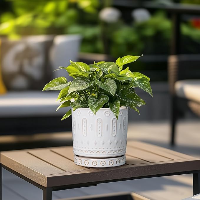 Pot for Plants 6 Inch - Ceramic Planter for Indoor Plants Decorative Plant Pot with Drainage Holes and Saucer Outdoor Flower Pot Modern Succulent Pots for Office Desk Decor White