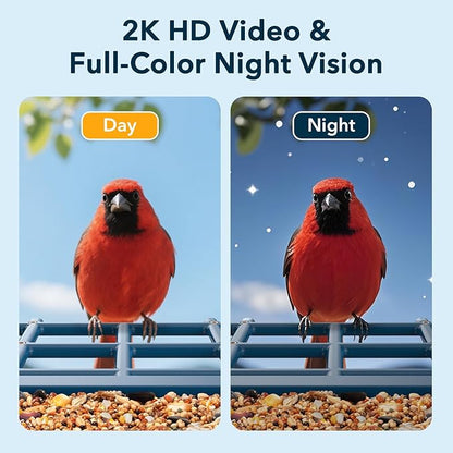 PeckCam® Bird Feeder with Camera Solar Powered, AI Identify & Auto Capture, 2K HD Live Video Smart Bird Feeder Camera Instant Notifications in Backyard, Gift for Bird Lovers