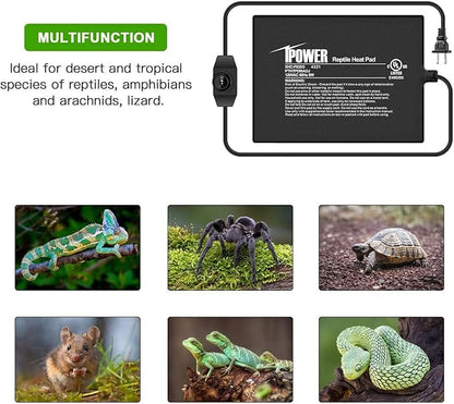 iPower 6 by 8 Inch Reptile Heating Pad with Temperature Adjustable Controller Knob, Under Tank Warmer Terrarium Heat Mat for Reptiles and Amphibians
