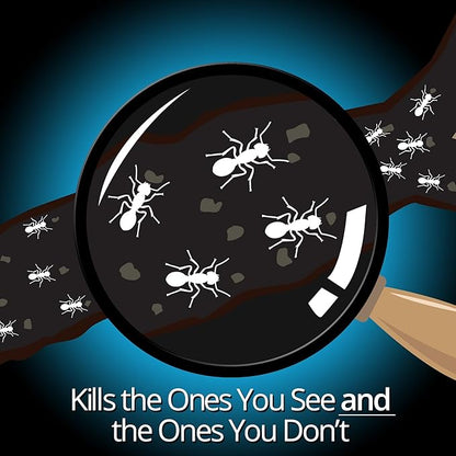 Combat Indoor and Outdoor Ant Killing Gel, 27 Gram (Pack of 12)