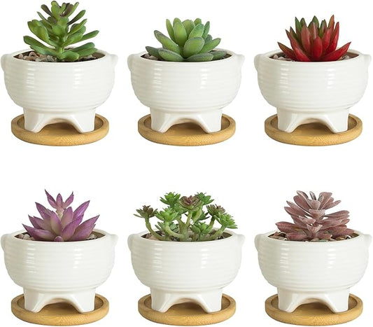 ARTKETTY Succulent Pots - 4 Inch Small Plant Pots with Drainage Trays Set of 6, Ceramic Pots for Indoor Plants White Cactus Flower Planter Container Decorative Garden Home