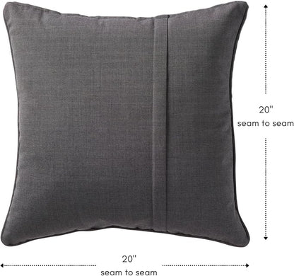 Greendale Home Fashions Sunbrella 20" Square Outdoor Throw Pillow with Removable Cover (Set of 2), Canvas Coal 2 Count
