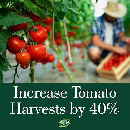 Dalen Gardeneer Tomato Tray Super Boost – Increases Tomato Plant Yield up to 40% – Easy to Install – 12" x 12" x 3.5" – Pack of 3