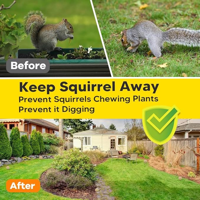 Squirrel Repellents 8Balls, Squirrel Repellent Outdoor, Mint Squirrel & Chipmunk Repellent, Peppermint Oil Repel Squirrel & Chipmunk in Gardens/Bird Feeders/Attic & Yard
