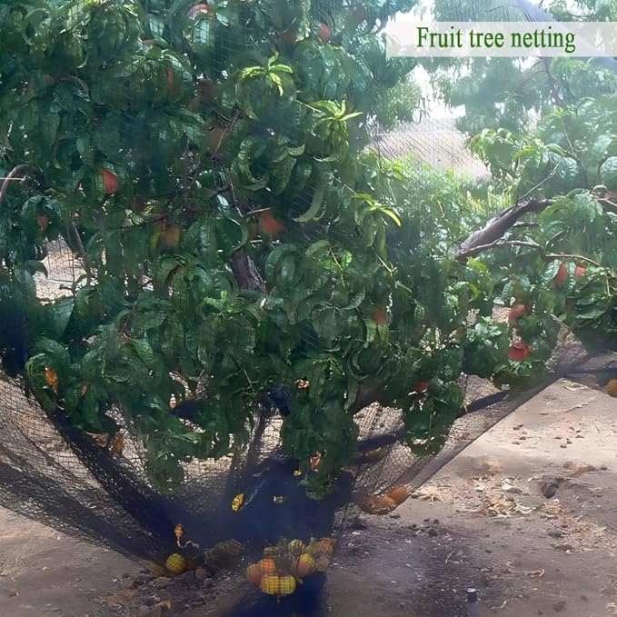 Woven Bird Netting 10X10 FT, 1/2" Mesh, Strong Bird Net Protect Fruit Trees, Blueberry, Vegetables, Strawberry Plants, Garden Netting Pest Barrier, Against Deer, Squirres, Small Critters