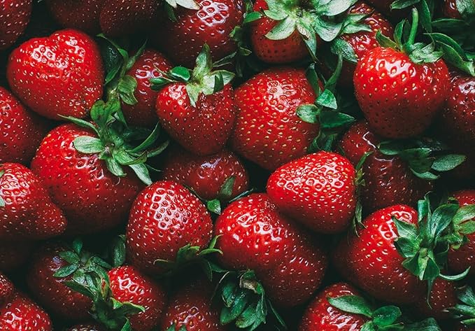 Ruby Royale Strawberry Plants - Grow Giant Strawberries - Bare Root Plants (10 Plants)