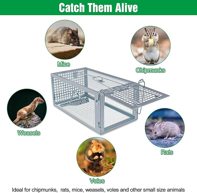 4 Packs Humane Rat Trap Outdoor, Wanqueen Humane Mouse Traps Indoor, Small Rodent Chipmunk Squirrel Trap and Other Live Animal Cage Catch and Release