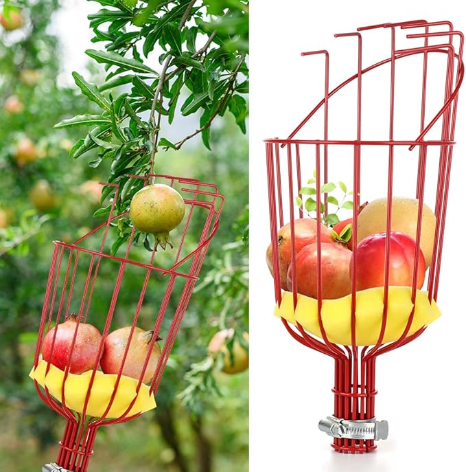 Fruit Picker Harvester Basket, Adjustable Fruit Picker Tool with Cushion to Prevent Bruising, Professional Gardening Fruit Picker Tool for Picking Apple Pear Peach Orange (Pole Not Included)