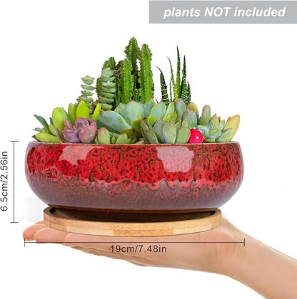ARTKETTY Succulent Pots - 7.5 Inch Large Plant Pot with Bamboo Tray, Shallow Bonsai Pots with Drainage, Ceramic Planter for Indoor Plants, Cactus, Home Office Desk Decor