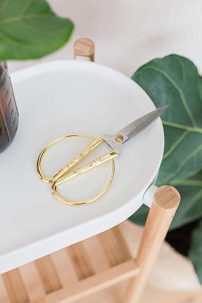 Premium Houseplant Scissors | 100% Stainless Steel, Ultra-Precise Garden Clippers for Propagation & Trimming | Rust-Resistant, Easy Clean Pruning Shears | Indoor & Outdoor | Comfortable & Ambidextrous