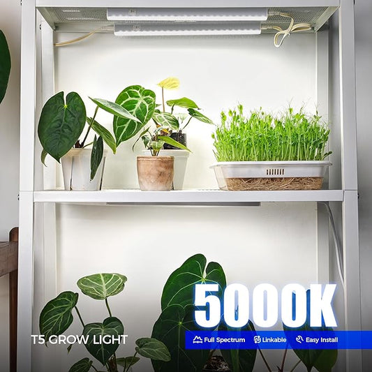 Barrina T5 Grow Lights for Indoor Plants, 5000K Full Spectrum, 1FT LED Growing Lamp, Plant Light Strip, for Seed Starting, Vegetables, Plug and Play, 4-Pack