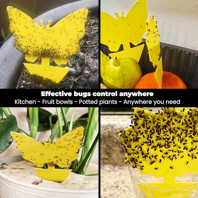 Sticky Insect Traps 40 Pcs - Gnats Fruit Fly Traps for Indoors House - Yellow Double-Sided Sticky Insect Catchers Fungus, Fruit Flies, Whiteflies, Aphids, Leaf Miners