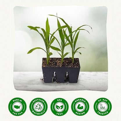 Epic Gardening Reusable Seed Starter Tray - 6 Cell/120 Seedling Starter Trays - Easy Watering, Indoor Greenhouse, Plant Starter, Gardener-Friendly for Seedlings | UV-Treated & BPA-Free - Black