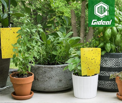 Gideal 50-Pack Dual-Sided Yellow Sticky Traps for Flying Plant Insect Fungus Gnats Whiteflies Aphids Leafminers Thrips (6x8 Inches, Included 50pcs Twist Ties)