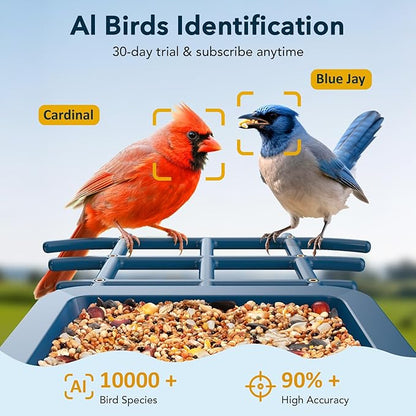 PeckCam® Bird Feeder with Camera Solar Powered, AI Identify & Auto Capture, 2K HD Live Video Smart Bird Feeder Camera Instant Notifications in Backyard, Gift for Bird Lovers