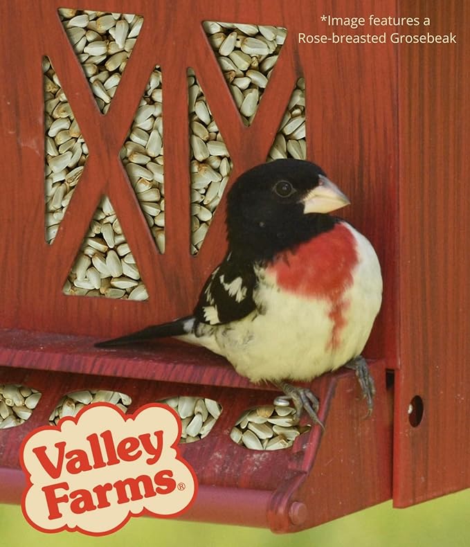 Valley Farms Safflower Seed Wild Bird Food 4 LB 2-Pack (8 LB Total) for Outside Feeders, Safflower Bird Seed for Cardinals, Grosbeaks, and Buntings, Cardinal Birdseed for Outside Feeders