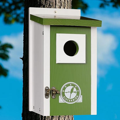 Bird Houses for Outside, Lime Green Bird House, Bluebird Houses for Outside, Garden Decoration Birdhouses for Outdoors, Bluebird Finch Swallow Wren Chickadee