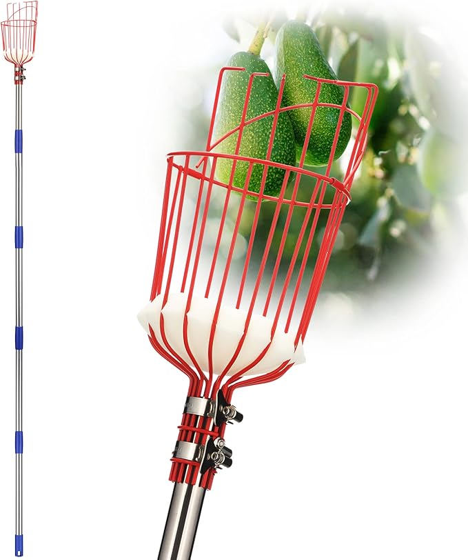 DnSail Fruit Picker Pole Tool with Basket Telescoping - Adjustable Mango Picker 35-68 inch Long Handle - Apple Orange Avocado Acorn Lemon Pear Pomelo Chery Picker for Tree