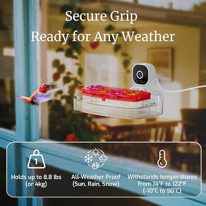 Smart Window Humming Bird Feeder Camera, AI Identifies Species in 2K HD, with Ant Moat & Secure Suction Mount - The Ultimate Gift for Hummingbird Lovers (Transparent)
