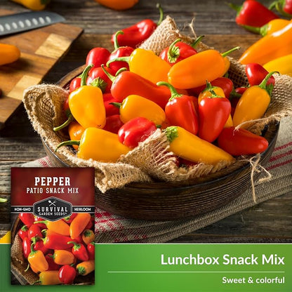 Patio Snack Mix Mini Sweet Pepper Seeds for Planting | Compact Lunchbox-Style Heirloom Variety – Non-GMO Container Garden Peppers – Survival Garden Seeds (1 Pack)