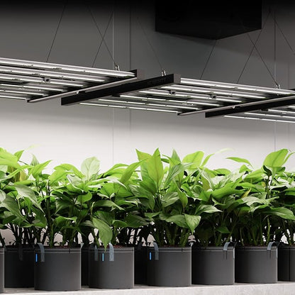 AC Infinity IONFRAME EVO4, Samsung LM301H EVO Bar LED Grow Light 3x3, 896 Diodes, with Schedule Controller, 300W Full-Spectrum Commercial Plant Lights for Indoor Growing in Grow Rooms & Greenhouses