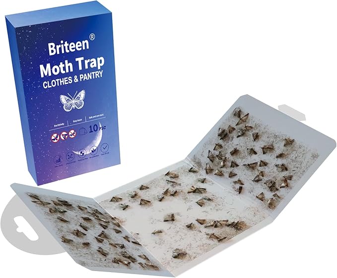 Pantry Moth Traps 10-Pack Safe and Effective for Food and Clothing- Glue Traps with Pheromones for Wool Closet Carpet Food and Cupboard K05