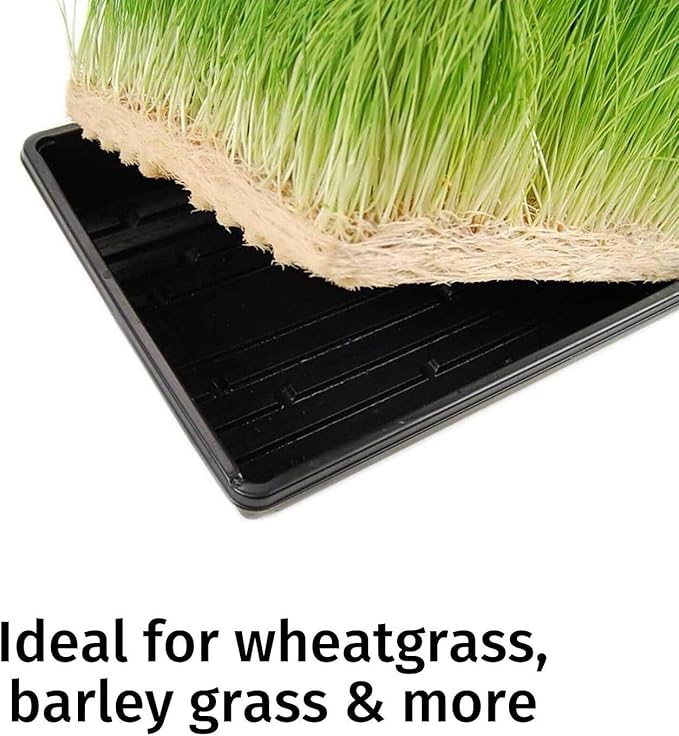 Handy Pantry Micro-Mat Minis Hydroponic Grow Pads - for Organic Production - Plant & Seed Germination: Wheatgrass, Microgreens, More - 4" x 4" to Fit 5" x 5" Greenhouse Plant Trays (96)