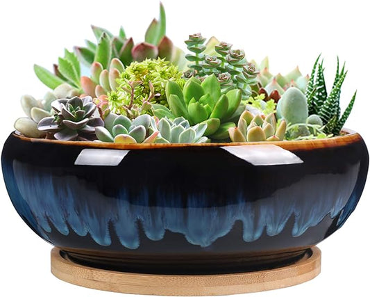 SQOWL 7 Inch Round Ceramic Succulent Planter Pot Drip Glazed Shallow Planter with Drainage Bamboo Tray for Indoor Plants